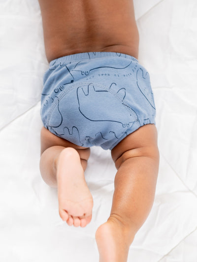 Babyclan Potty Training Pants - Icy Bear