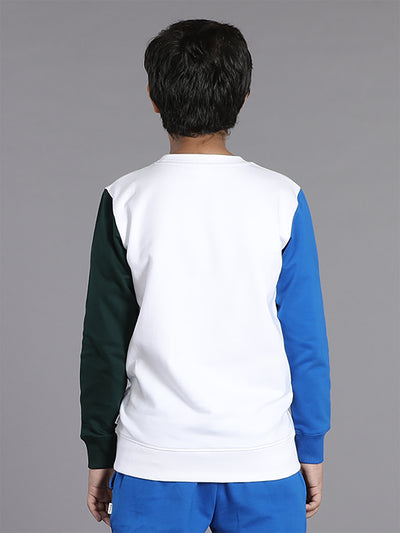 Boys Colorblocked Sleeve & Printed Sweatshirt