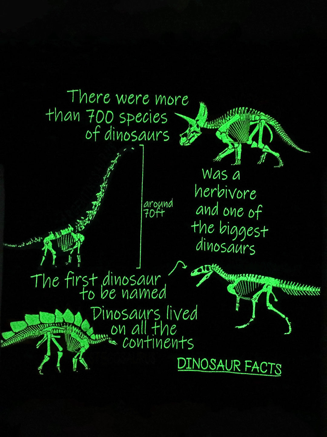 DINO FACTS